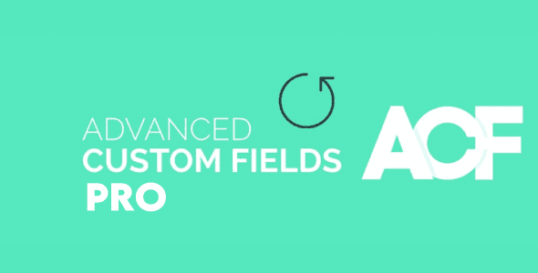 Advanced Custom Fields Pro Plugin Interface